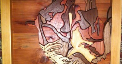 Finished Intarsia Woodwork - How Much Can I Sell It For?
