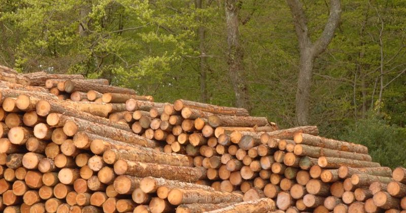 New and Emerging Forms of Ethical Timber