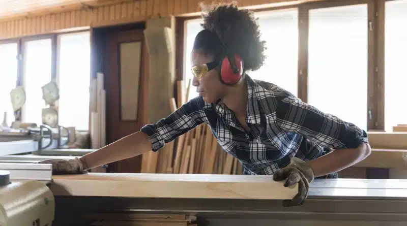 Woodworking Novice Project Reflections – Project Plan Introduction