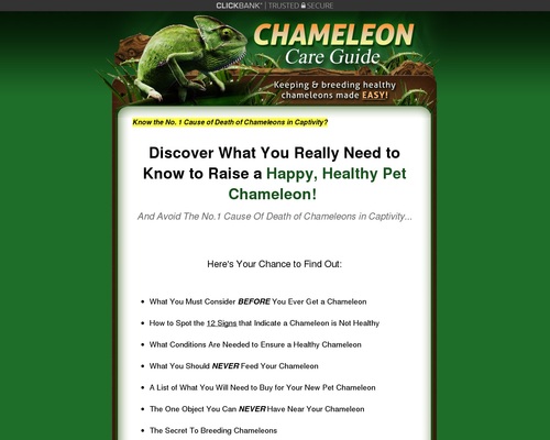 Chameleon Care Guide – Keeping and Breeding Healthy Chameleons Made Easy!